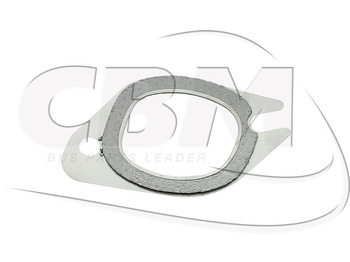 IRISBUS Motor und Teile