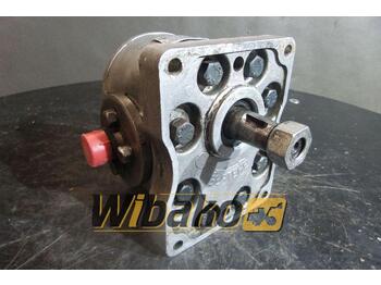 Hydraulikpumpe für Baumaschine Gear pump A72X-1 1383/175: das Bild 2