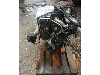 Motor für LKW MAN D0834 LFL55 MAN TGL: das Bild 3