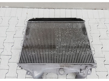 Interkühler INTERCOOLER CHŁODNICA POWIETRZA MAN TGS TGA LX: das Bild 2