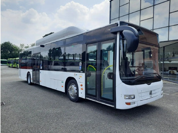 MAN Lion's City A21 Linienbus