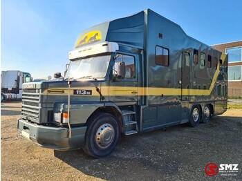 SCANIA 113 Pferdetransporter