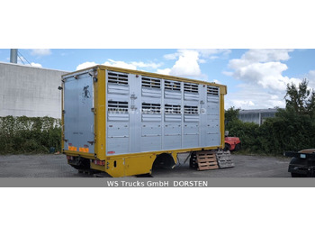 Pferdetransporter
