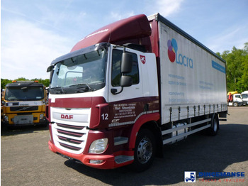 DAF CF 310 Plane LKW