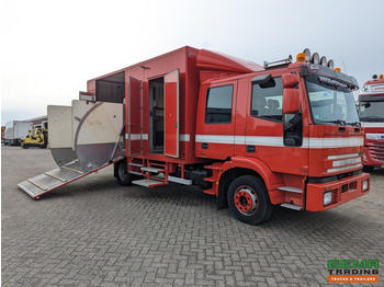 IVECO Pferdetransporter