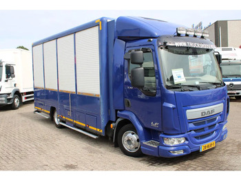 Koffer LKW DAF LF 230 + EURO 6: das Bild 3