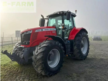 MASSEY FERGUSON Traktor