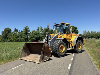 VOLVO L110E Radlader