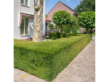 Gartengerät