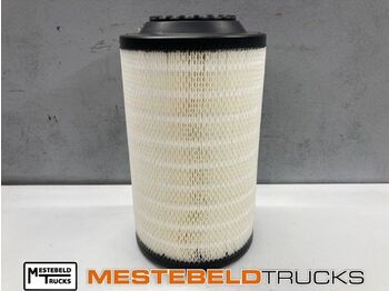 DAF Luftansaugsystem
