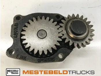 DAF Motor und Teile