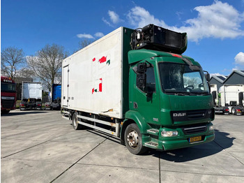 DAF LF 55 Kühlkoffer LKW