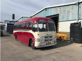 Reisebus