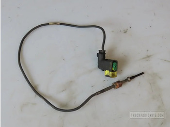 DAF Sensor