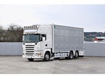 SCANIA R 500 Tiertransporter LKW