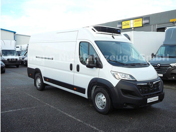 Kühltransporter, Zustand - NEU Opel Movano Kühlkastenwagen Xarios 300 GH: das Bild 2