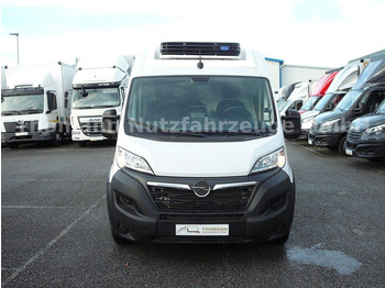 Kühltransporter, Zustand - NEU Opel Movano Kühlkastenwagen Xarios 300 GH: das Bild 3