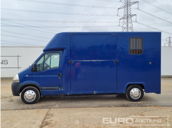 Koffer Transporter 2008 Nissan Interstar: das Bild 2