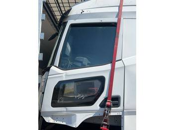 DAF XG Tür und Teile