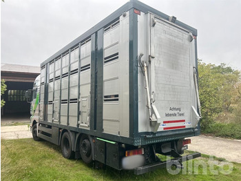 Tiertransporter LKW MAN TGA 26.419 MAN (2002): das Bild 4