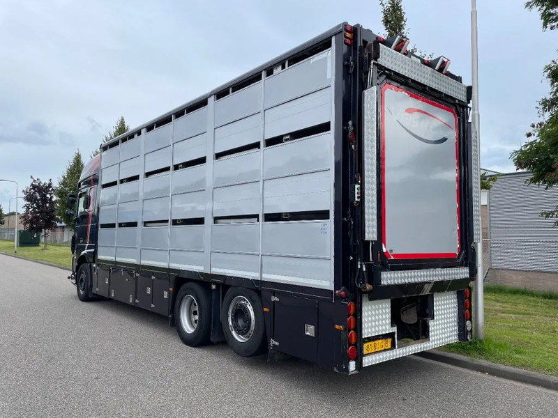 DAF XF 460 2017 berdex 3 lagen varkens - Tiertransporter LKW: das Bild 2 DAF XF 460 2017 berdex 3 lagen varkens - Tiertransporter LKW: das Bild 2