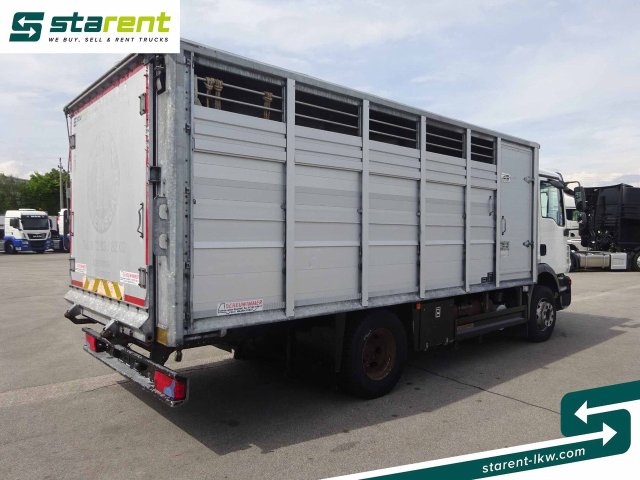 MAN TGM 15.290 Viehtransporter, Scheuwimmer Aufbau - Pferdetransporter: das Bild 5 MAN TGM 15.290 Viehtransporter, Scheuwimmer Aufbau - Pferdetransporter: das Bild 5