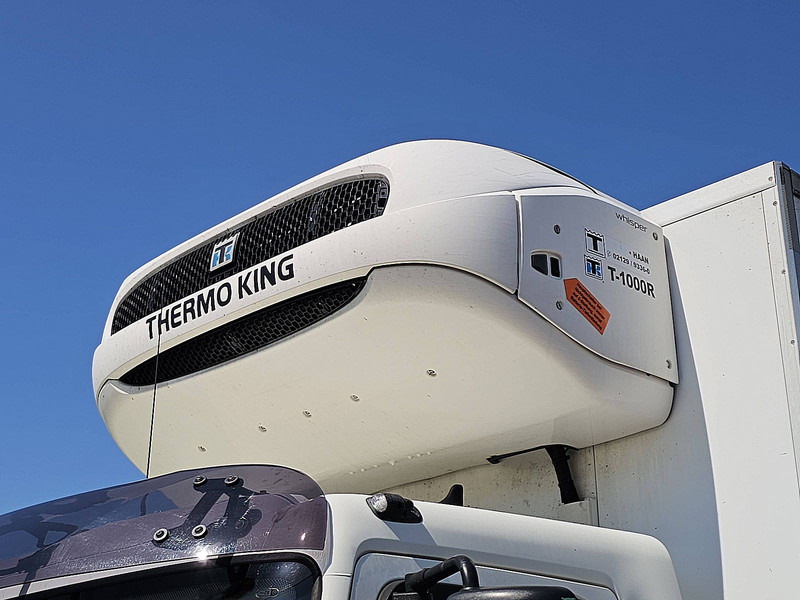 Kühlkoffer LKW DAF LF 220 11.9T THERMOKING: das Bild 16