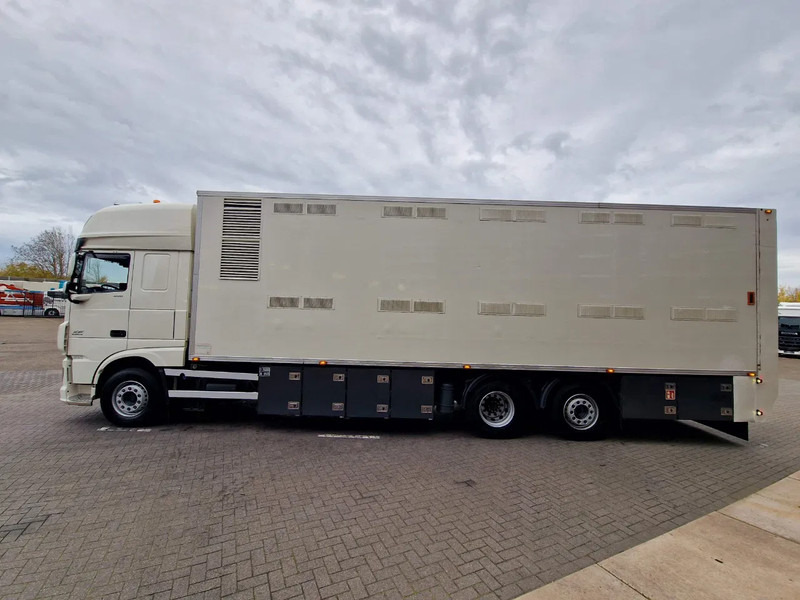 DAF XF 440 SuperSpaceCab 6x2*4 - 2 deck Closed Livestock - 40M2 - Filtersystem - Tiertransporter LKW: das Bild 4 DAF XF 440 SuperSpaceCab 6x2*4 - 2 deck Closed Livestock - 40M2 - Filtersystem - Tiertransporter LKW: das Bild 4