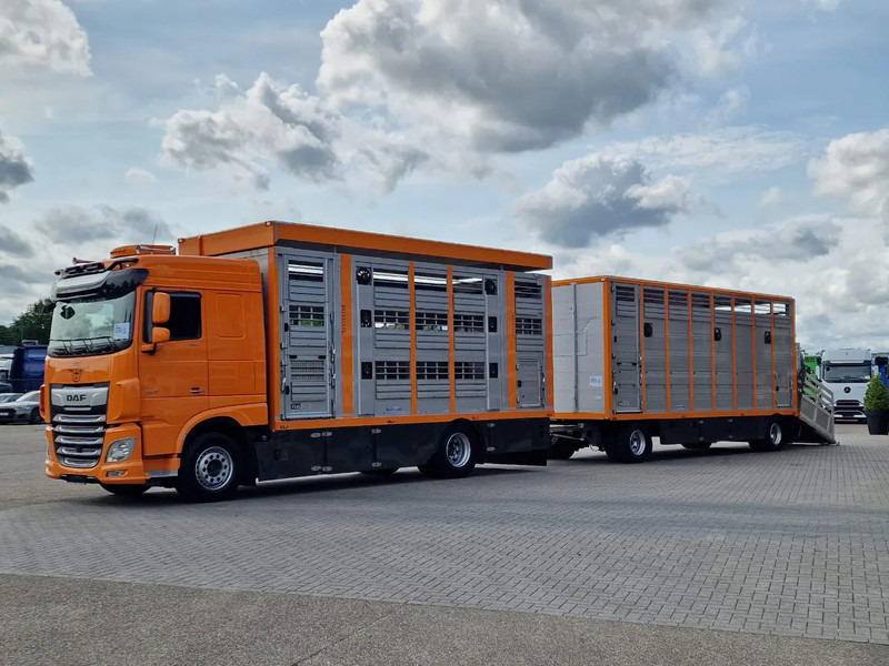DAF XF 530 4x2 - Livestock Menke 2 deck + 2018 Menke trailer - Water + Ventilation - Lifting roof - Tiertransporter LKW: das Bild 3 DAF XF 530 4x2 - Livestock Menke 2 deck + 2018 Menke trailer - Water + Ventilation - Lifting roof - Tiertransporter LKW: das Bild 3