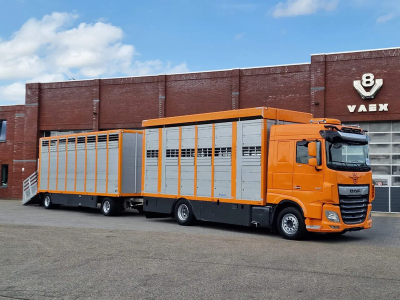 DAF XF 530 4x2 - Livestock Menke 2 deck + 2018 Menke trailer - Water + Ventilation - Lifting roof - Tiertransporter LKW: das Bild 1 DAF XF 530 4x2 - Livestock Menke 2 deck + 2018 Menke trailer - Water + Ventilation - Lifting roof - Tiertransporter LKW: das Bild 1