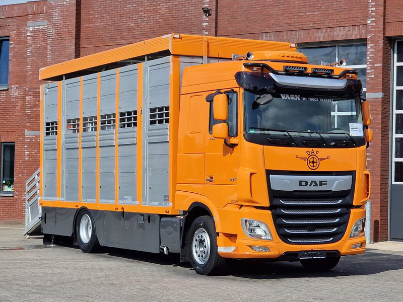 DAF XF 530 4x2 - Livestock Menke 2 deck water & ventilation - Tiertransporter LKW: das Bild 1 DAF XF 530 4x2 - Livestock Menke 2 deck water & ventilation - Tiertransporter LKW: das Bild 1