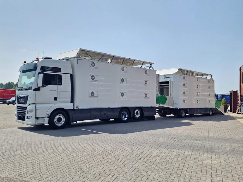 MAN TGX 500 6x2 - 3 deck Cuppers + 4 deck Cuppers 2019 trailer - Water & Ventilation - Night clima - - Tiertransporter LKW: das Bild 3 MAN TGX 500 6x2 - 3 deck Cuppers + 4 deck Cuppers 2019 trailer - Water & Ventilation - Night clima - - Tiertransporter LKW: das Bild 3