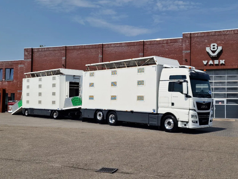 MAN TGX 500 6x2 - 3 deck Cuppers + 4 deck Cuppers 2019 trailer - Water & Ventilation - Night clima - - Tiertransporter LKW: das Bild 1 MAN TGX 500 6x2 - 3 deck Cuppers + 4 deck Cuppers 2019 trailer - Water & Ventilation - Night clima - - Tiertransporter LKW: das Bild 1