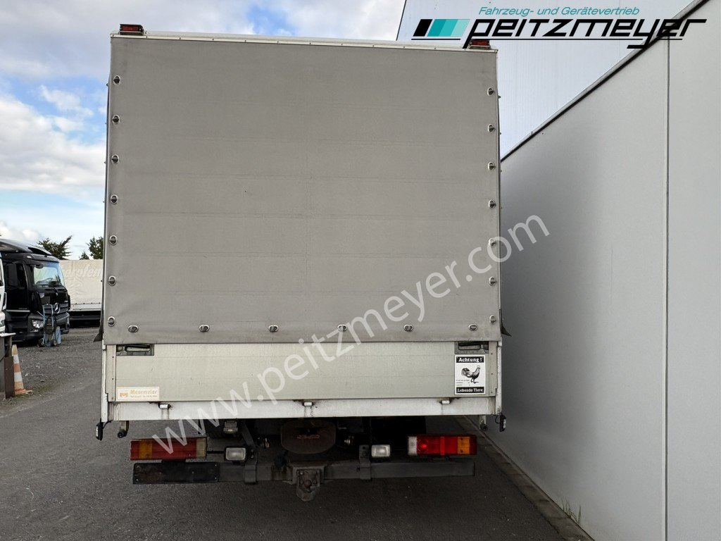 Koffer LKW MERCEDES-BENZ Atego 823 L Geflügelpritsche L - Fahrerhaus, Klima, 2 x AHK: das Bild 8