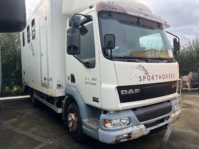 DAF LF 180 FA45.180 LF - Koffer LKW: das Bild 2 DAF LF 180 FA45.180 LF - Koffer LKW: das Bild 2
