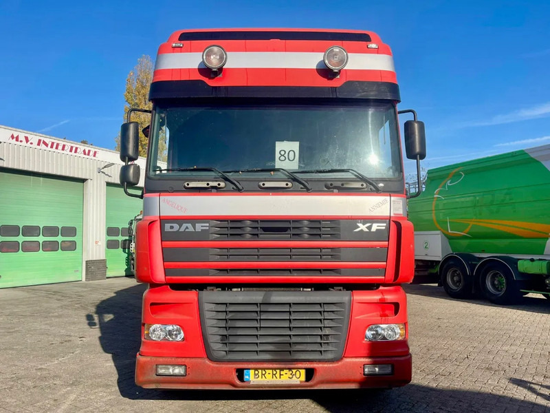 DAF XF 95.430 BERDEX 3 decks. Water, fans, Scales! Excellent condition. - Tiertransporter LKW: das Bild 3 DAF XF 95.430 BERDEX 3 decks. Water, fans, Scales! Excellent condition. - Tiertransporter LKW: das Bild 3