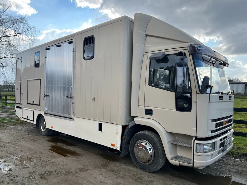 Iveco 120E18 - 3 HORSES - MANUAL - STEEL SUSPENSION - Pferdetransporter: das Bild 2 Iveco 120E18 - 3 HORSES - MANUAL - STEEL SUSPENSION - Pferdetransporter: das Bild 2