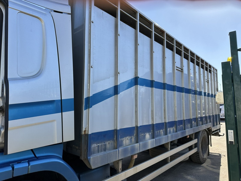 Scania P310 4x2 ANIMAL TRANSPORT - ALU BOX 7m - MANUAL - AIR SUSPENSION - A/C - BELGIAN TRUCK - Tiertransporter LKW: das Bild 5 Scania P310 4x2 ANIMAL TRANSPORT - ALU BOX 7m - MANUAL - AIR SUSPENSION - A/C - BELGIAN TRUCK - Tiertransporter LKW: das Bild 5
