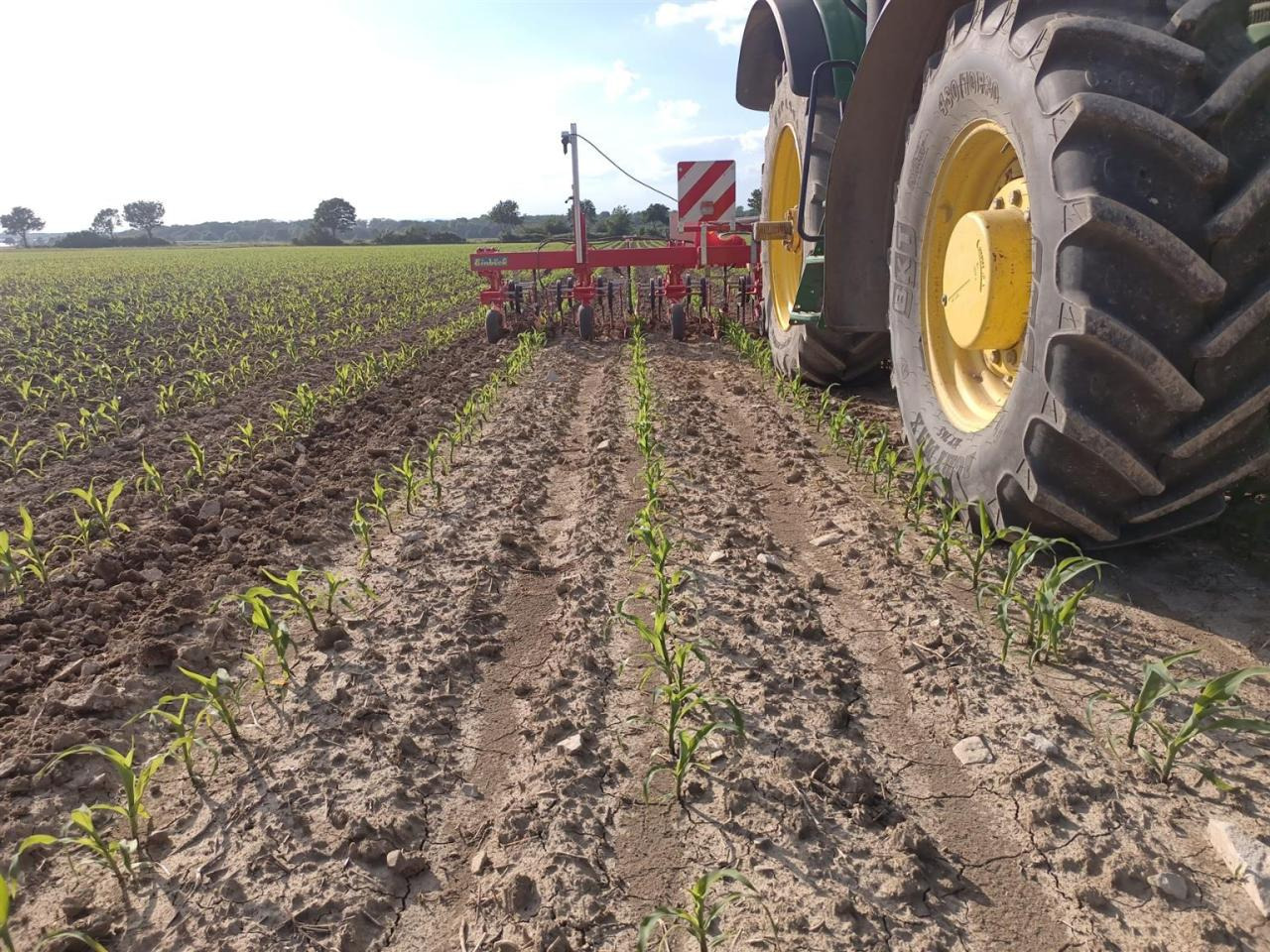 Firestone 460/85R42 480/70R30 - Reifen: das Bild 5 Firestone 460/85R42 480/70R30 - Reifen: das Bild 5