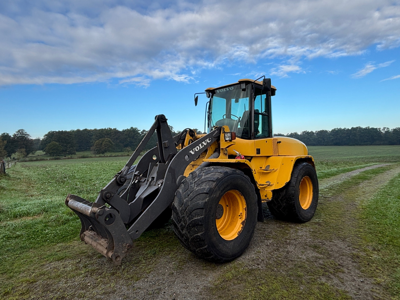 Volvo L45TP/S - Radlader: das Bild 1 Volvo L45TP/S - Radlader: das Bild 1