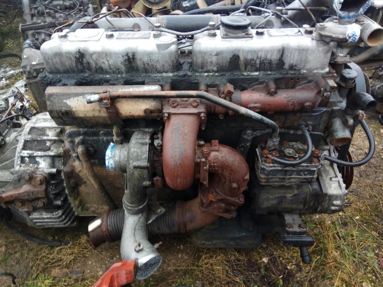 DAF ATI WS268 DAF ATI DAF 85 95 - Motor für LKW: das Bild 2 DAF ATI WS268 DAF ATI DAF 85 95 - Motor für LKW: das Bild 2