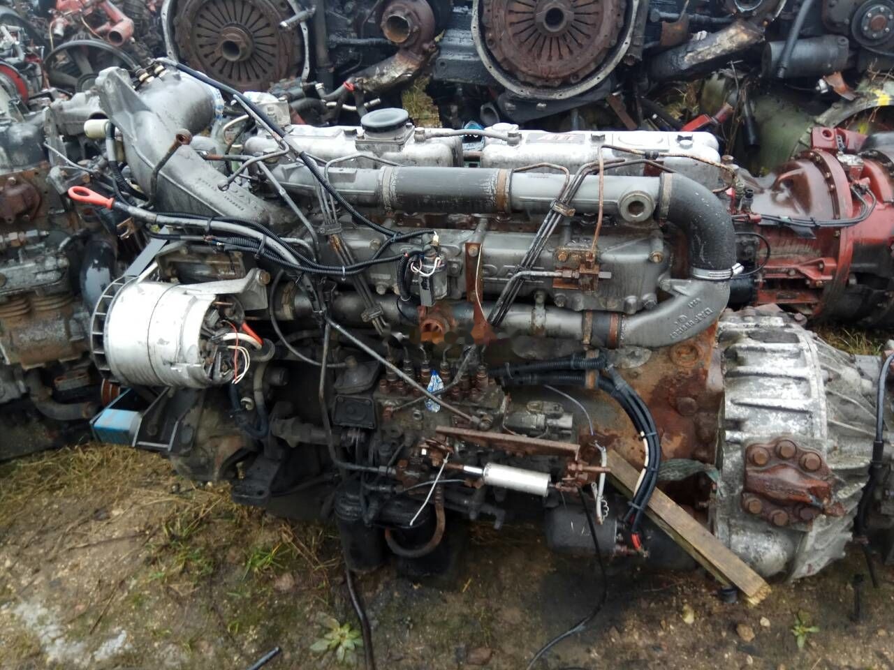 DAF ATI WS268 DAF ATI DAF 85 95 - Motor für LKW: das Bild 1 DAF ATI WS268 DAF ATI DAF 85 95 - Motor für LKW: das Bild 1