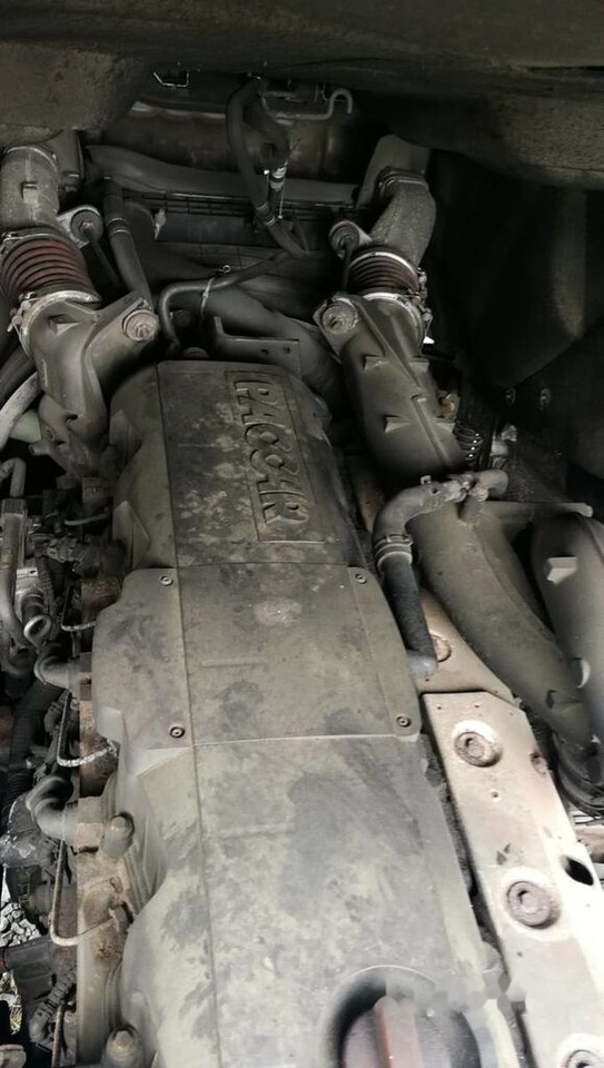 DAF MX340S1 - Motor für LKW: das Bild 1 DAF MX340S1 - Motor für LKW: das Bild 1