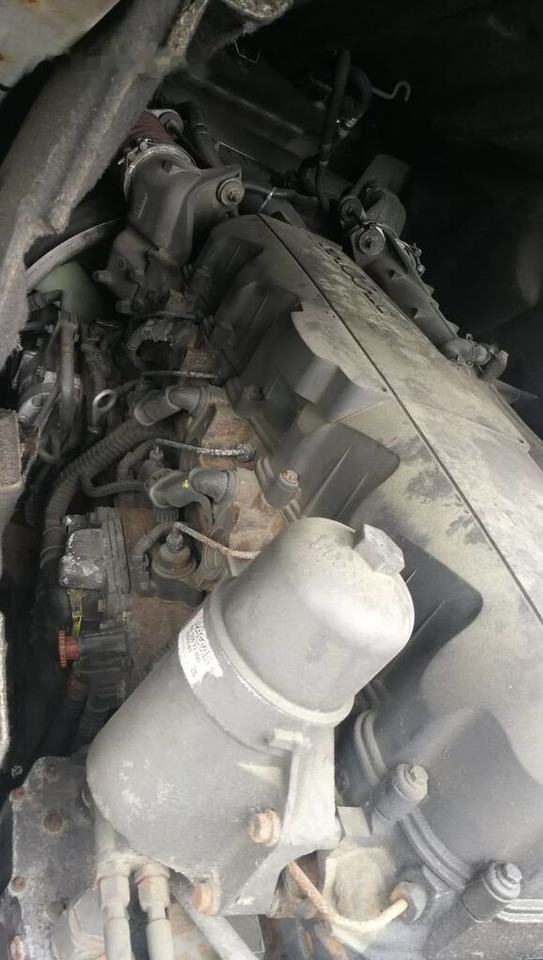 DAF MX340S1 - Motor für LKW: das Bild 3 DAF MX340S1 - Motor für LKW: das Bild 3