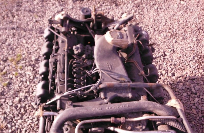 OM442LA 380 V8 - Motor für LKW: das Bild 5 OM442LA 380 V8 - Motor für LKW: das Bild 5