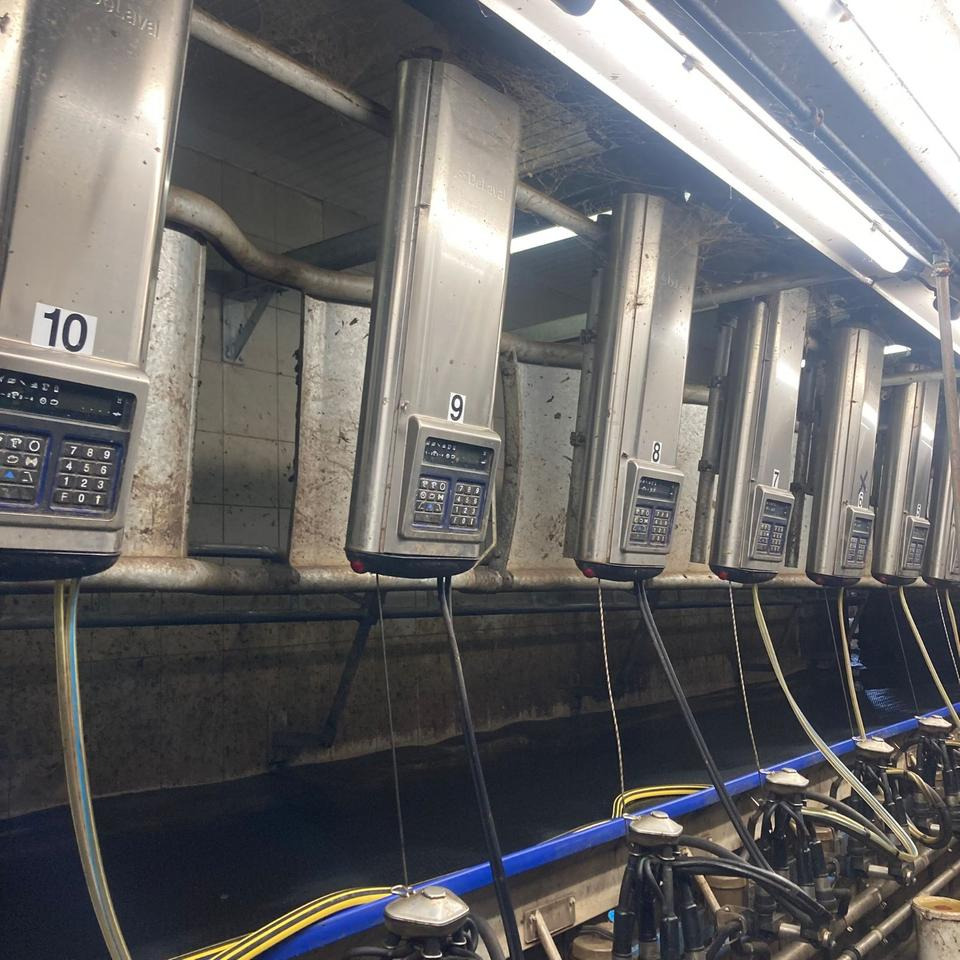 DeLaval Fischgrätenmelkstand Doppel 10er - Melktechnik: das Bild 1 DeLaval Fischgrätenmelkstand Doppel 10er - Melktechnik: das Bild 1