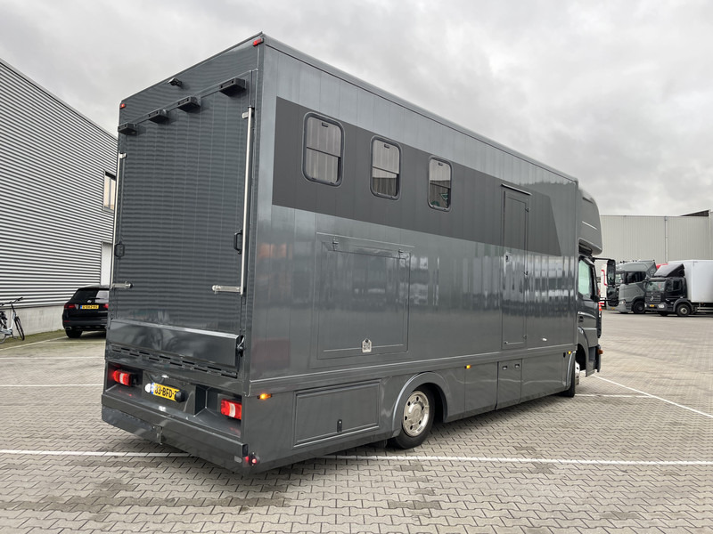 Mercedes-Benz Atego 816 / Horse Truck - 3 Horses / Camper / NL Truck - Pferdeanhänger: das Bild 2 Mercedes-Benz Atego 816 / Horse Truck - 3 Horses / Camper / NL Truck - Pferdeanhänger: das Bild 2