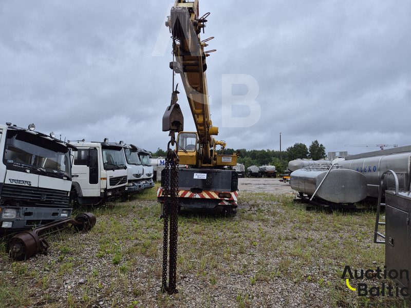 All-Terrain Kran Gottwald AMK 46: das Bild 7