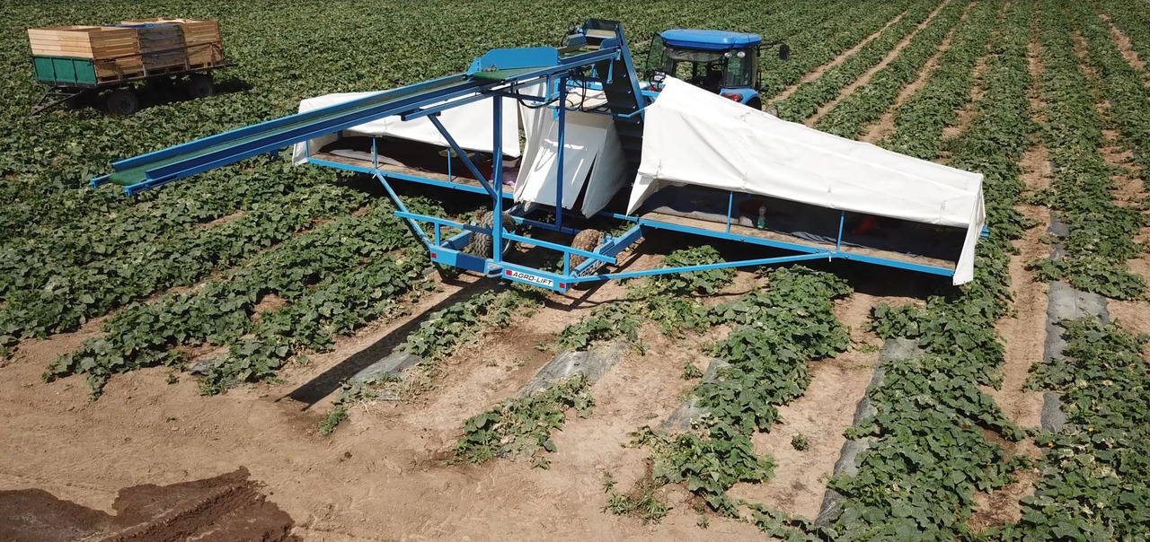 AGRO-LIFT Kombajn do ogórków - Erntemaschine: das Bild 3 AGRO-LIFT Kombajn do ogórków - Erntemaschine: das Bild 3