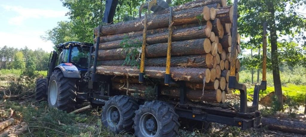 Kronos 140 - Holzanhänger: das Bild 3 Kronos 140 - Holzanhänger: das Bild 3
